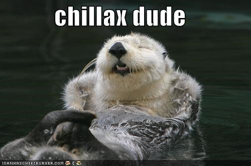 http://www.wjsimpson.com/random/chillax-dude.jpg